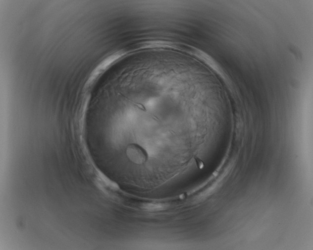 X0000114701145200910211247