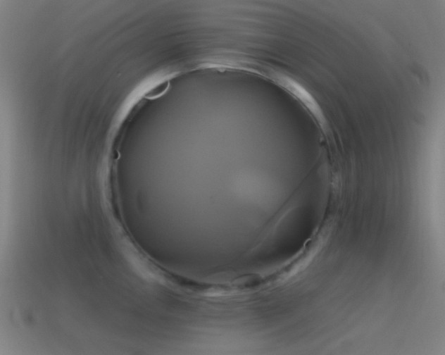 X0000114701146200910211247