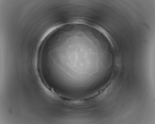 X0000114701147200910211247