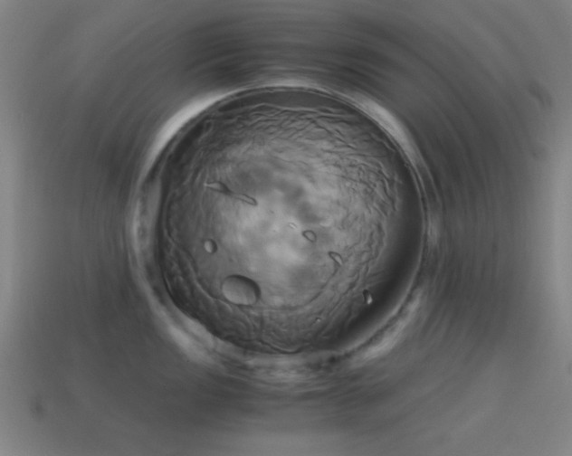 X0000114701149200910211247