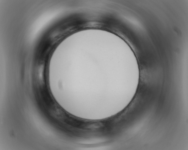 X0000114701150200910211247