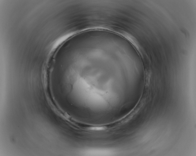 X0000114701151200910211247