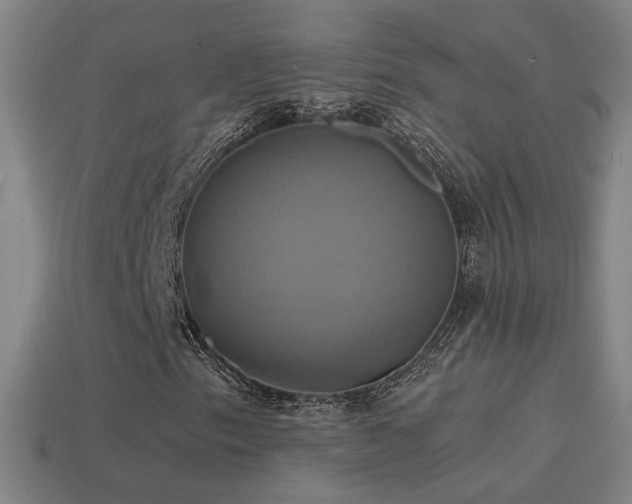 X0000114701153200910211246