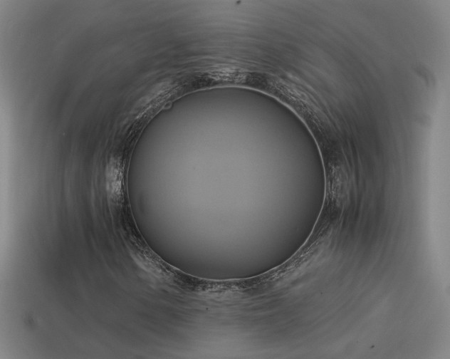 X0000114701154200910211246