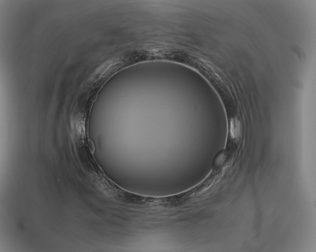 X0000114701155200910211246