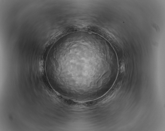 X0000114701156200910211246