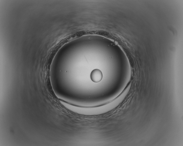 X0000114701157200910211246