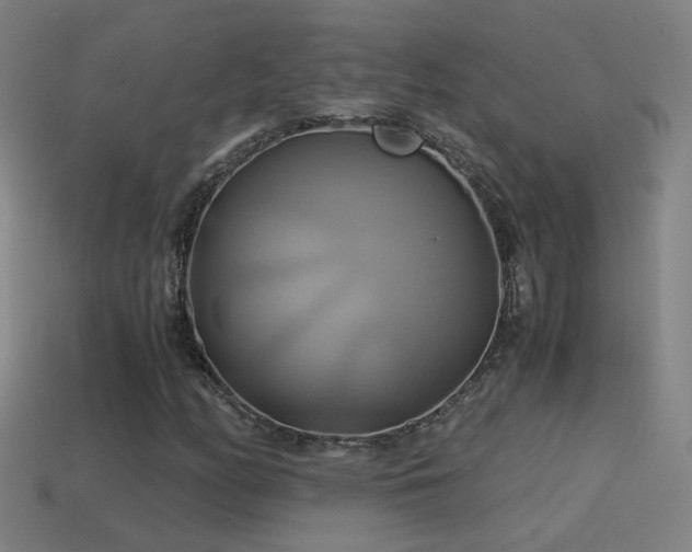 X0000114701158200910211246