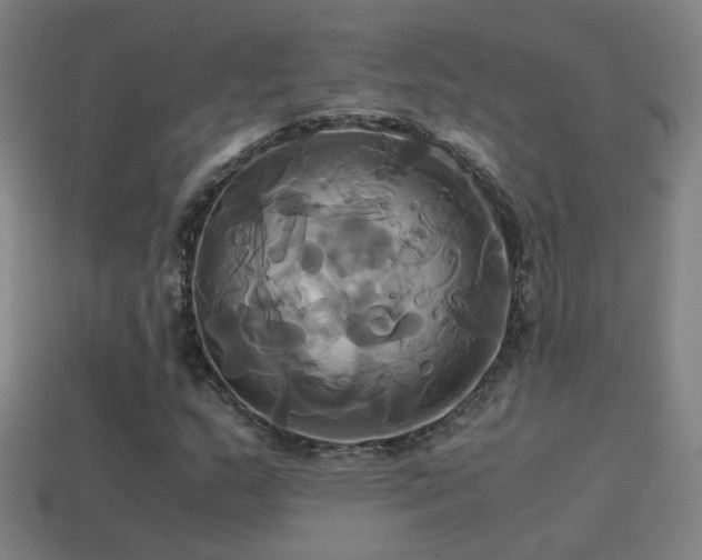 X0000114701159200910211246