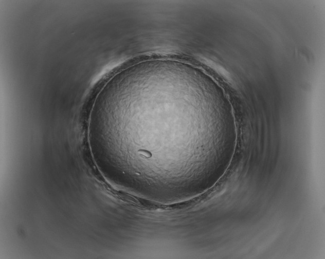 X0000114701160200910211246