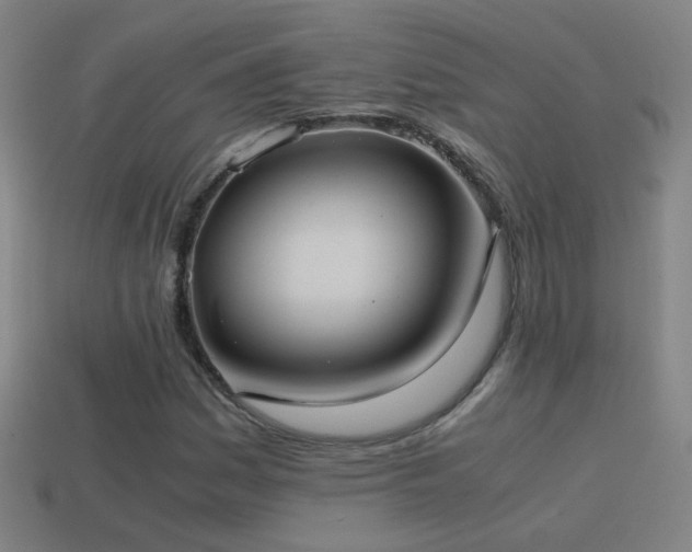 X0000114701161200910211246