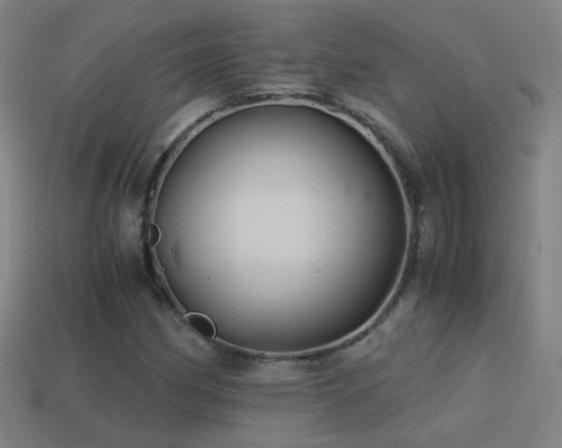 X0000114701162200910211246