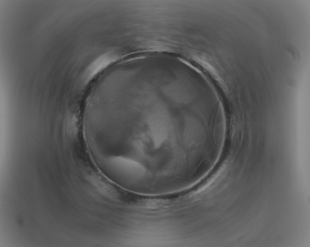 X0000114701163200910211246