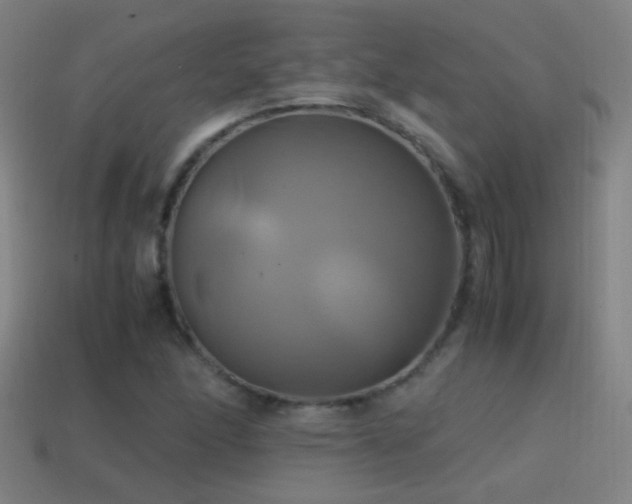 X0000114701166200910211246