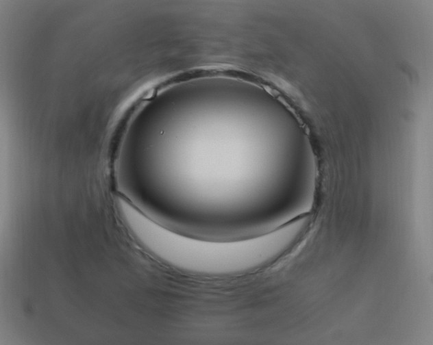 X0000114701167200910211246