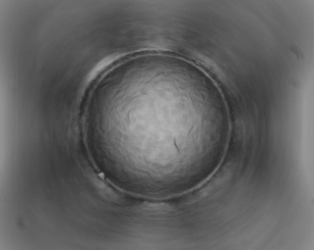 X0000114701168200910211246