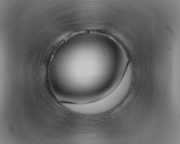 X0000114701169200910211246