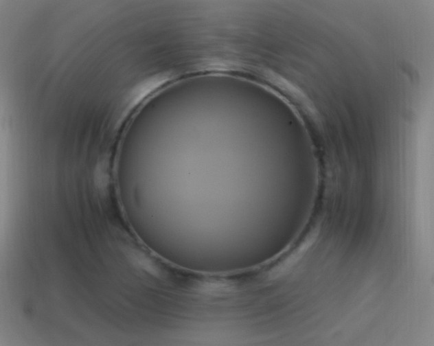 X0000114701170200910211246