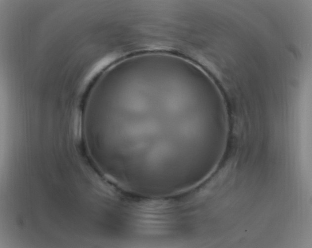 X0000114701171200910211246