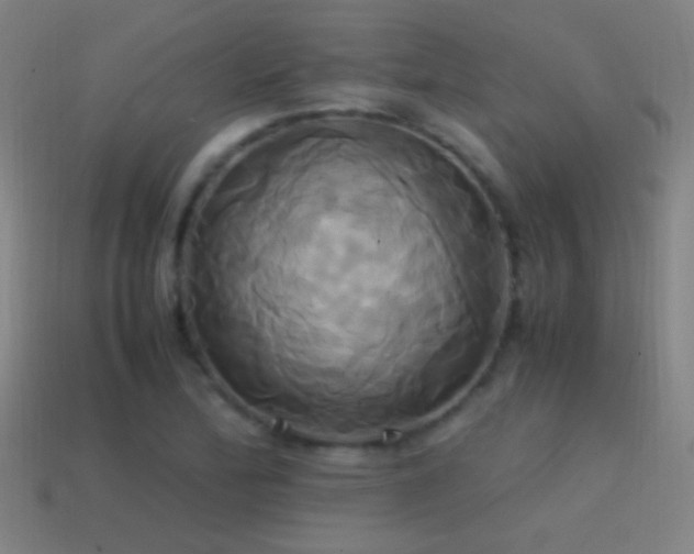 X0000114701172200910211246