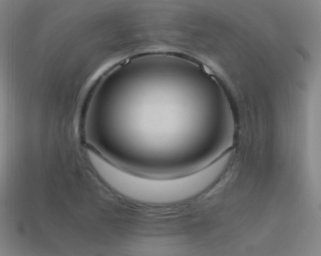 X0000114701173200910211246