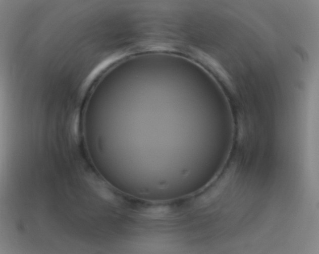 X0000114701174200910211246