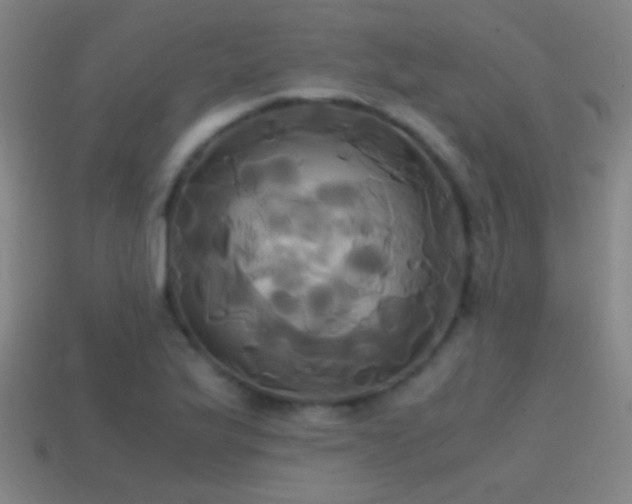 X0000114701175200910211246