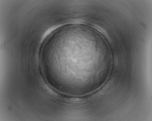 X0000114701176200910211246