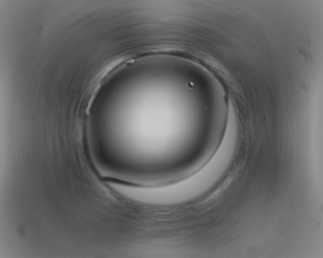 X0000114701177200910211246