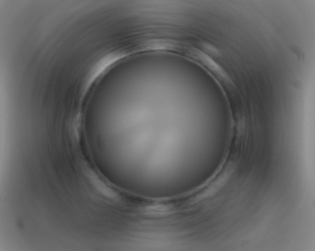 X0000114701178200910211246