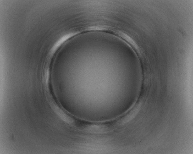 X0000114701179200910211246