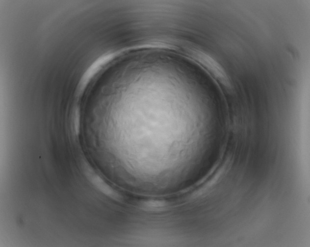 X0000114701180200910211246