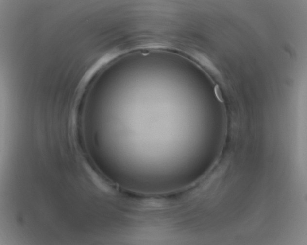 X0000114701181200910211246