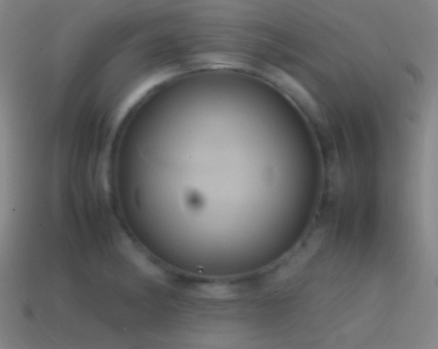 X0000114701182200910211246