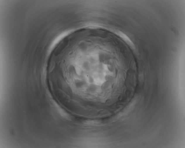 X0000114701183200910211246