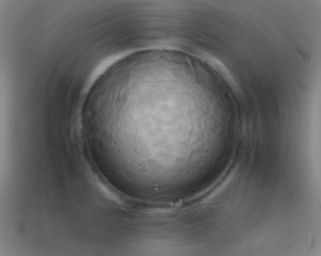 X0000114701184200910211246