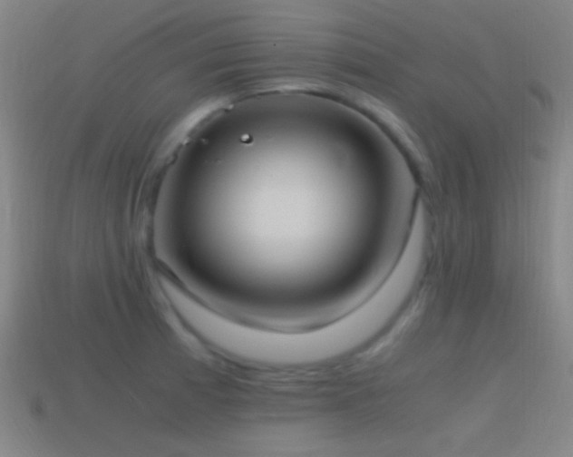 X0000114701185200910211246