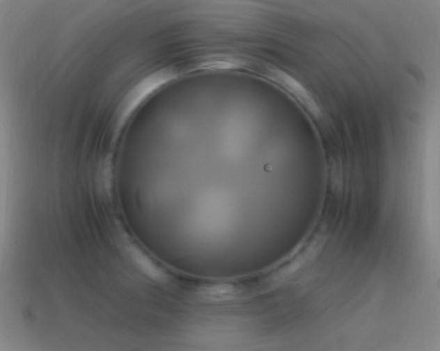 X0000114701186200910211246