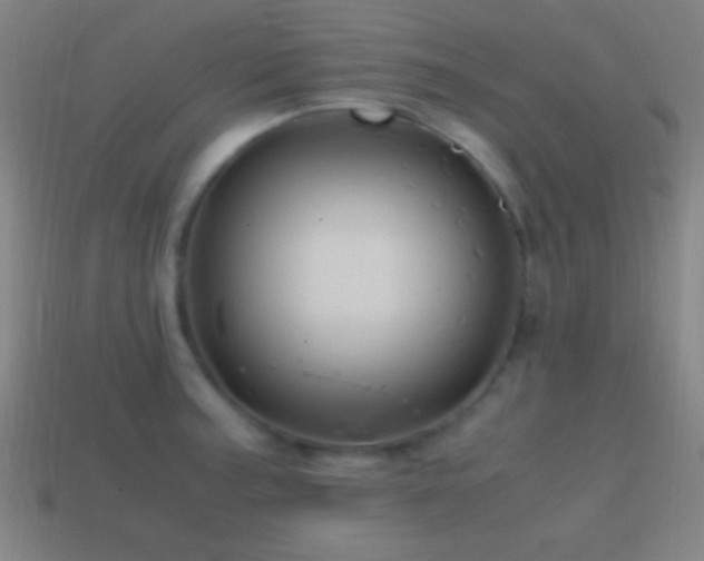 X0000114701187200910211246