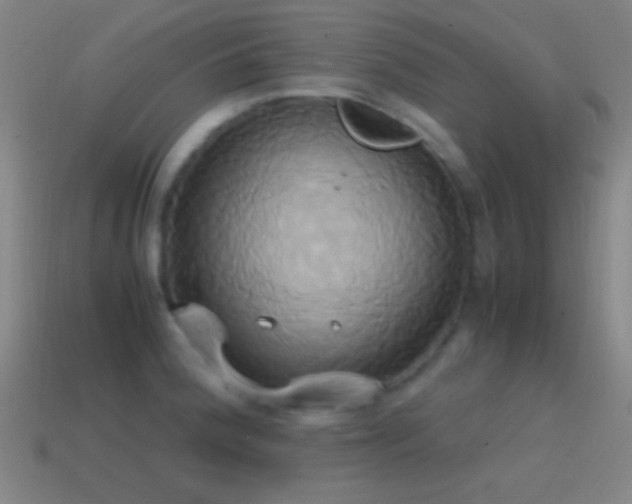 X0000114701188200910211246