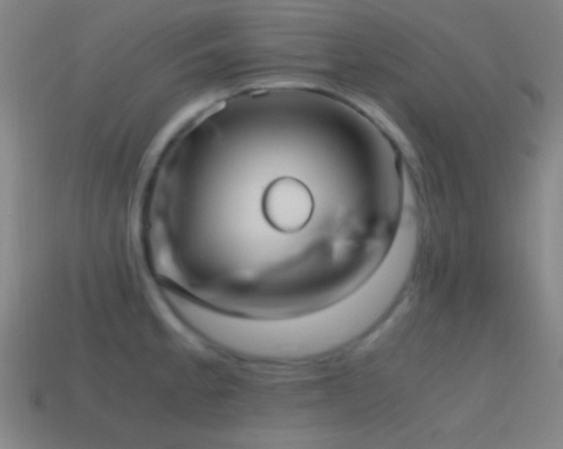 X0000114701189200910211246