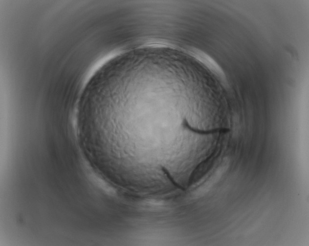 X0000114701190200910211246