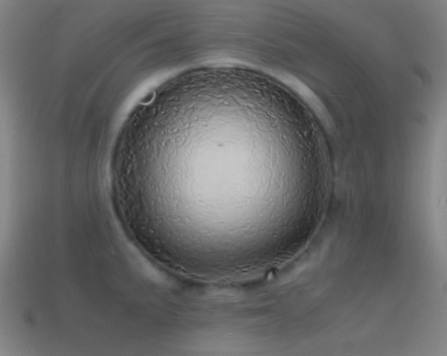 X0000114701191200910211246