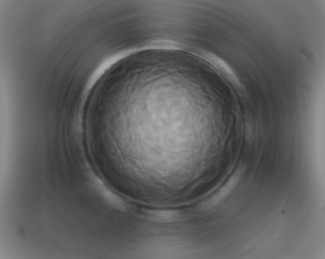 X0000114701192200910211246