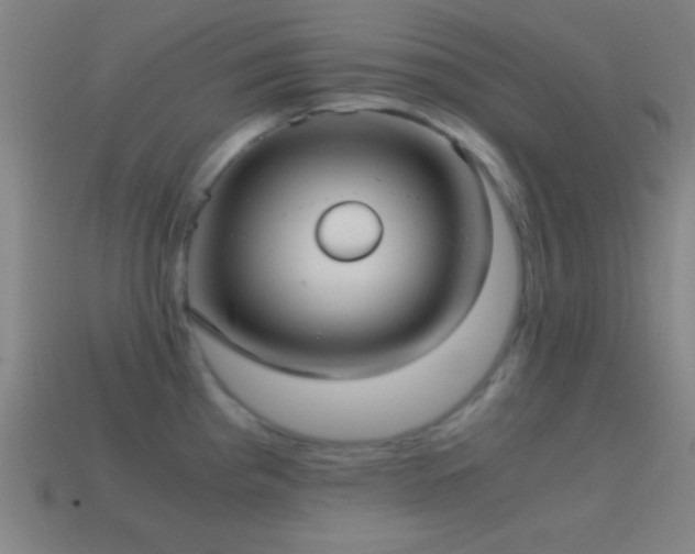 X0000114701193200910211246