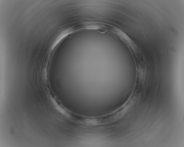 X0000114701194200910211246