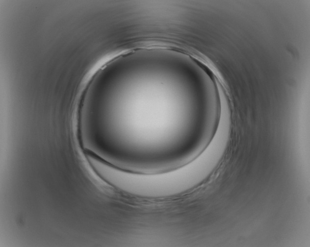 X0000114701195200910211246