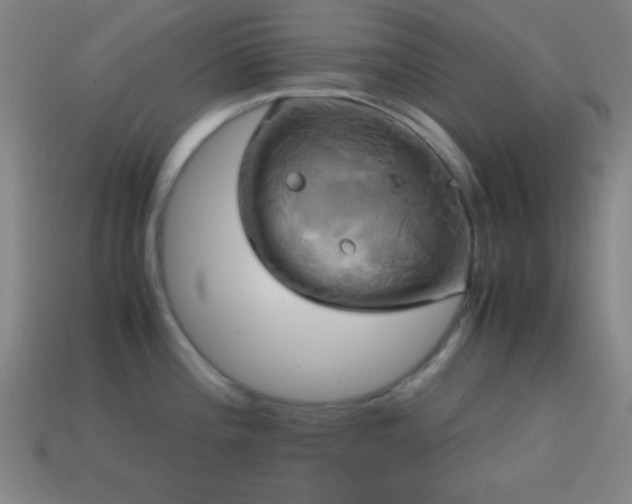 X0000114701196200910211246