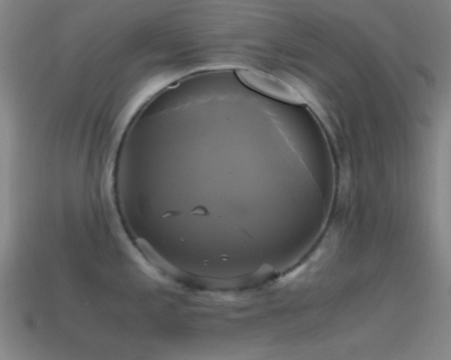 X0000114701197200910211246