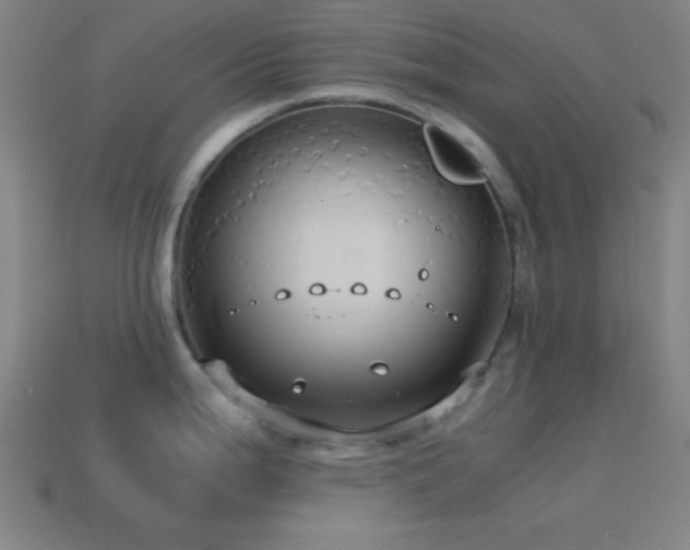 X0000114701199200910211246